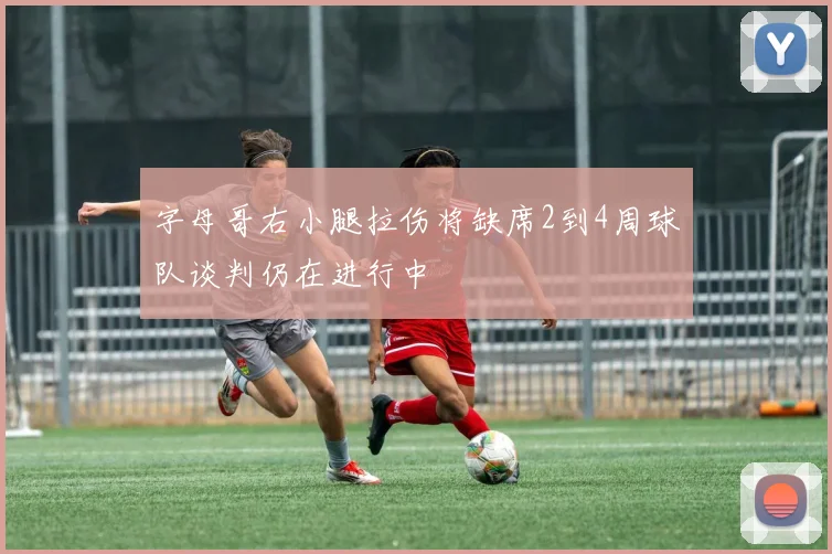 字母哥右小腿拉伤将缺席2到4周球队谈判仍在进行中