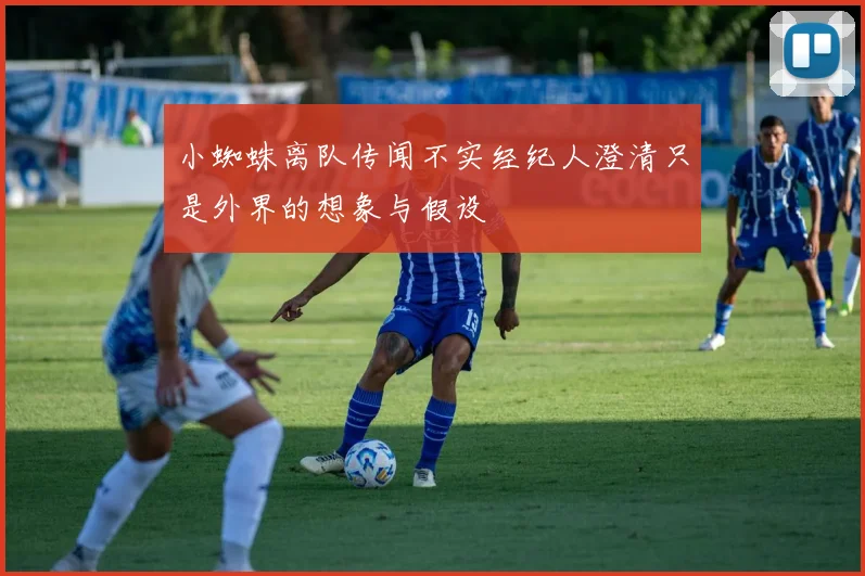 小蜘蛛离队传闻不实经纪人澄清只是外界的想象与假设
