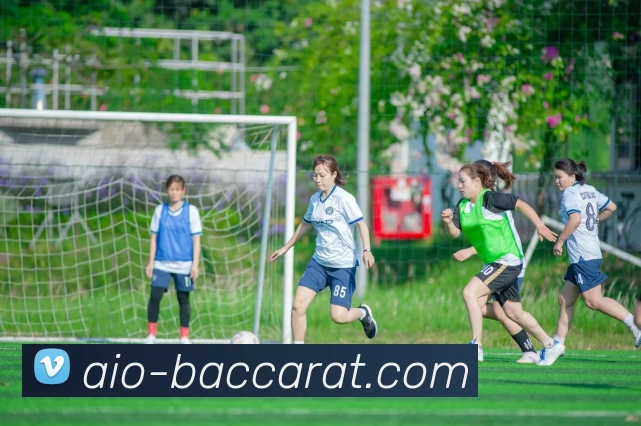 多媒体互动体验